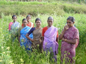 They Grow Millets therefore they are MMG
