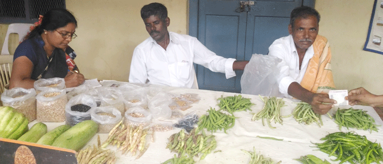 Seed saver and organic farmer