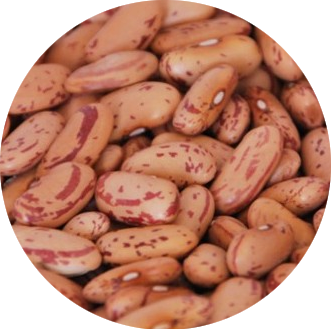 rajma_chitra_organic Rajma Chitra